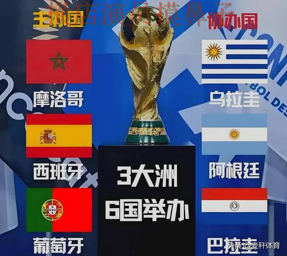 世界杯直播背景下的世界杯买球平台全面分析与直播入口直播解析